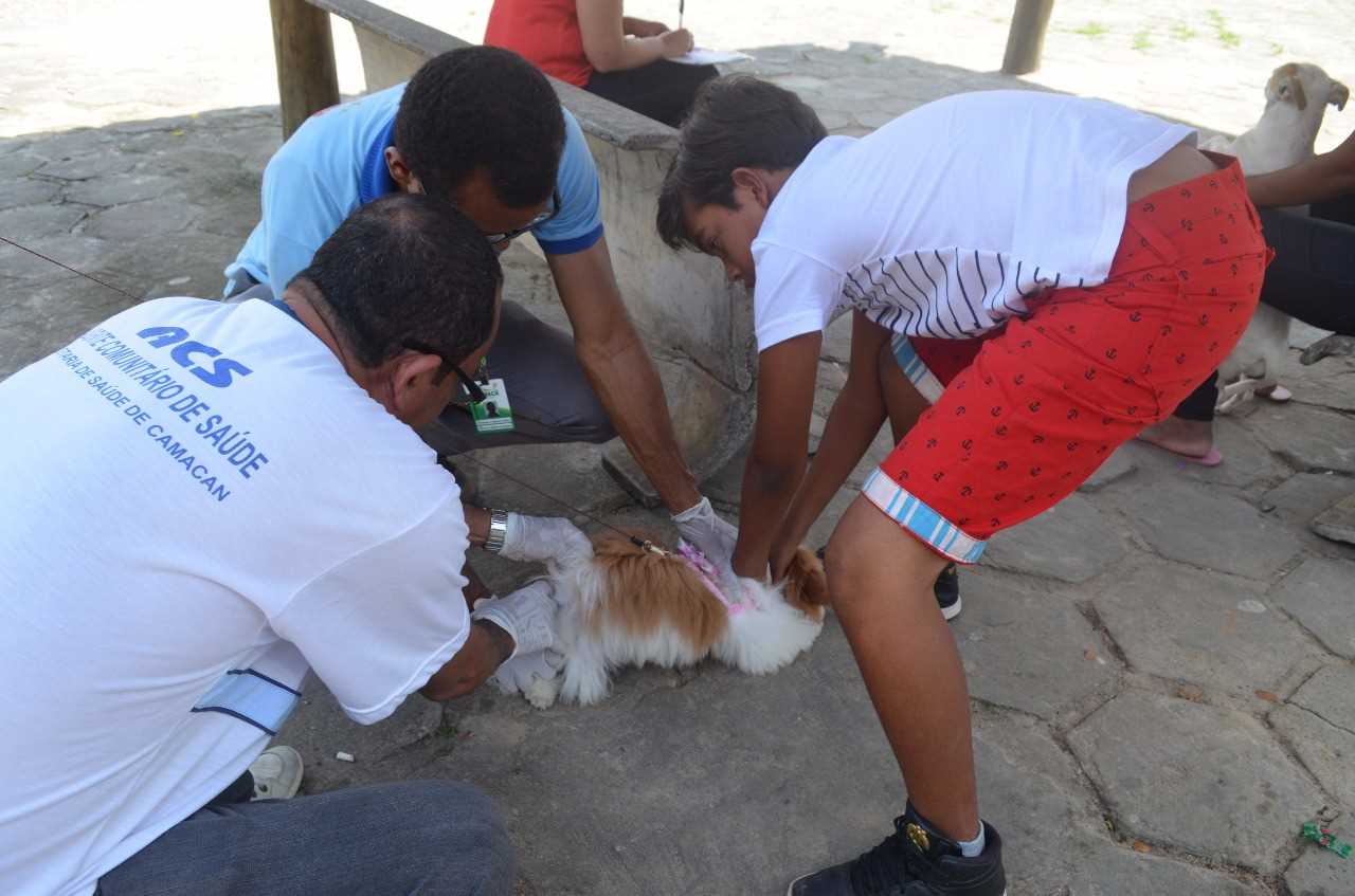 Vacinação